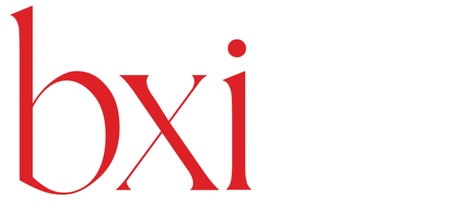 bxi-brand.shop